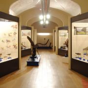 Maggio all’Accademia Valdarnese del Poggio e Museo Paleontologico Montevarchi