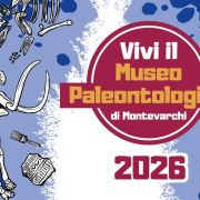 Mattoncini al Museo Paleontologico