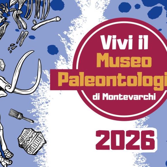 Mattoncini al Museo Paleontologico Mattoncini al Museo Paleontologico