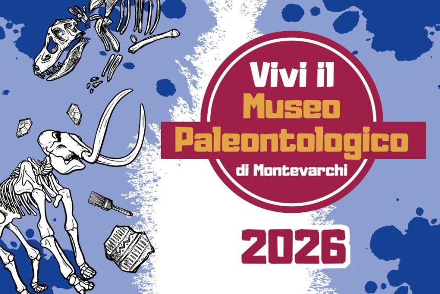 Mattoncini al Museo Paleontologico Mattoncini al Museo Paleontologico